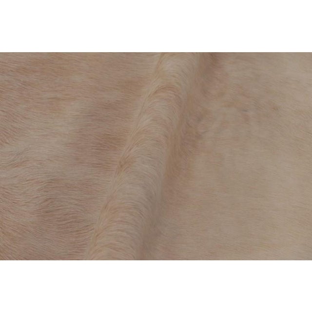Animal Skin Rug & Kilim’s Large Cowhide Rug in Beige and Cream White Tones For Sale - Image 7 of 9
