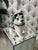 Late 20th Century Vintage Italian Husky Puppy Dog Ceramic Figure Statue Sculpture For Sale In Los Angeles - Image 6 of 9