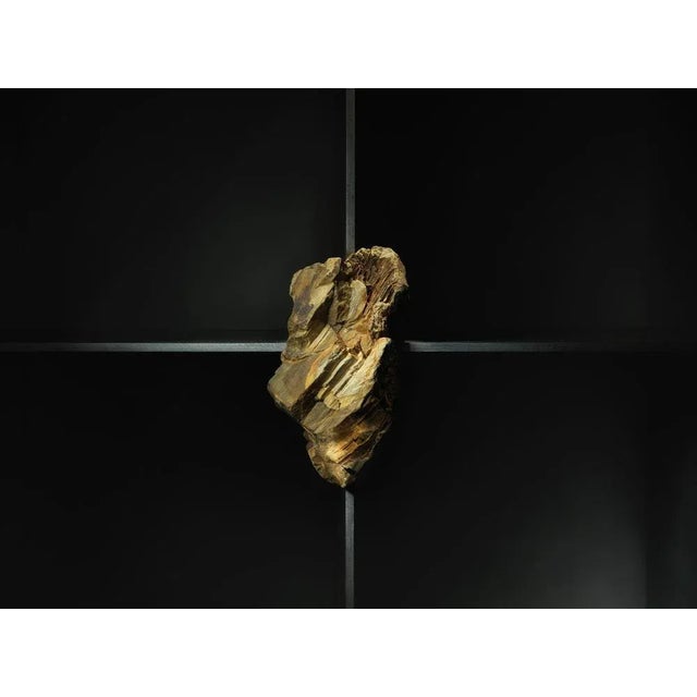 Wood Cabinet with Petrified Oak by Pierre De Valck For Sale - Image 7 of 8