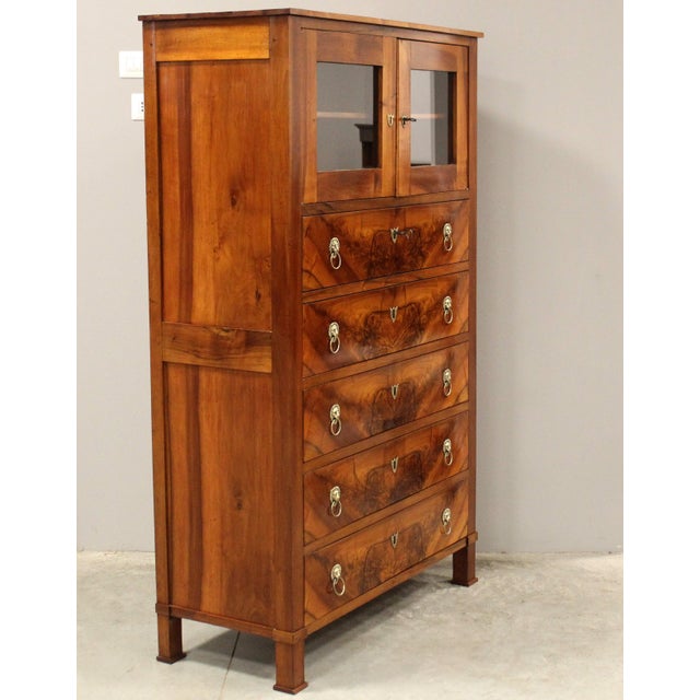 Empire Walnut Display Chest of Drawers, 19th Century For Sale - Image 4 of 17