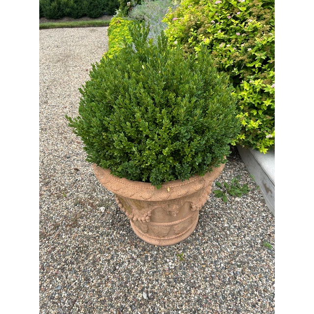 Ceramic Classic Tuscan Terracotta Planter With Embossed Decoration For Sale - Image 7 of 7