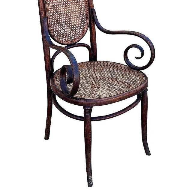 Vienna Secession Bent Oak & Cane High Back Armhair No. 17 by Thonet For Sale - Image 9 of 9