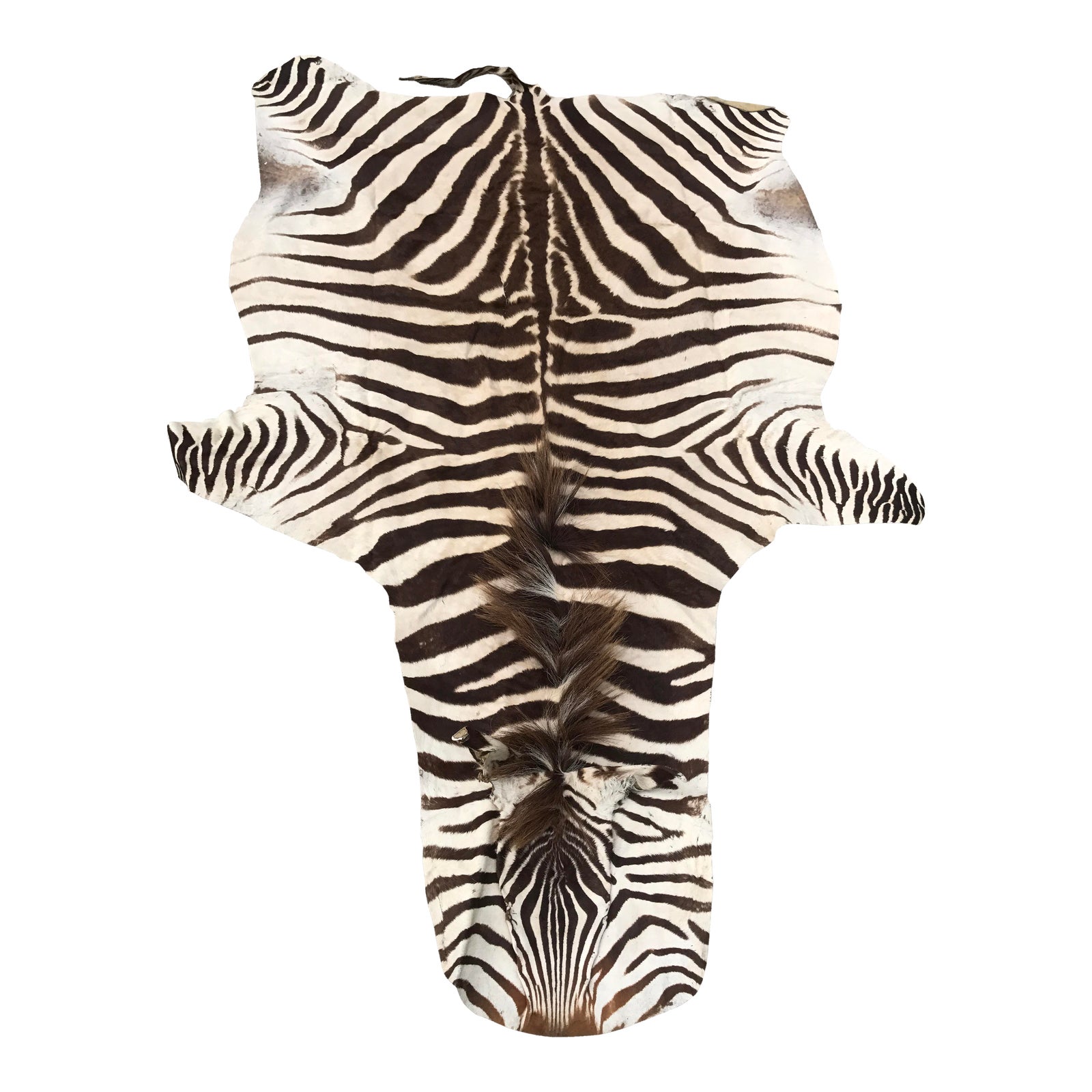 Authentic Vintage Zebra Rug 4′4″ × 7′ Chairish