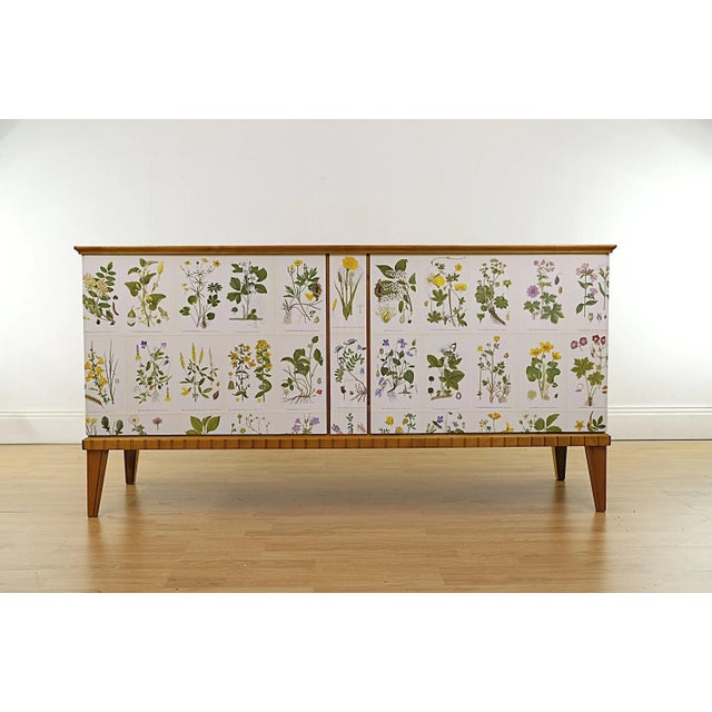 Pink Swedish Modern Sideboard with Nordens Flora Illustrations, 1930s For Sale - Image 8 of 8