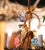 Early 20th Century French Gilt Tole Three-Light Chandelier With Glass Flowers For Sale - Image 9 of 10