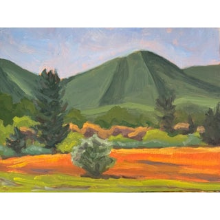 "Shenandoah Mountain, Bath County, Virginia" Contemporary Landscape Oil Painting by Teresa DiMarco For Sale