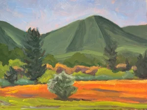 "Shenandoah Mountain, Bath County, Virginia" Contemporary Landscape Oil Painting by Teresa DiMarco