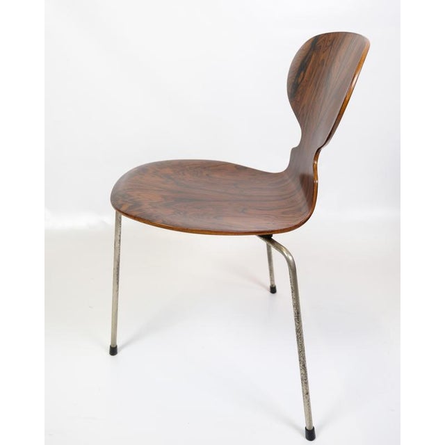 Ant Chairs Model 3101 in Rosewood by Arne Jacobsen for Fritz