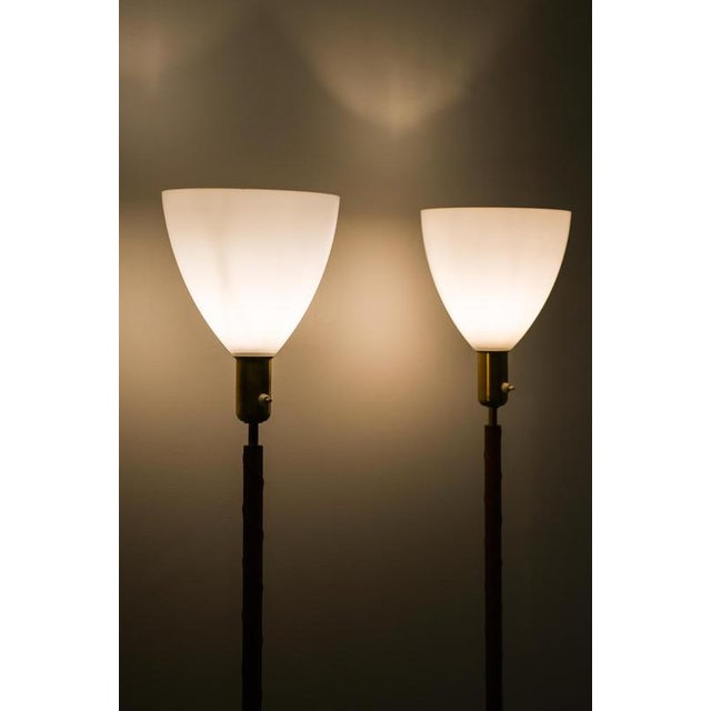 Metal Floor Lamps in Brass, Glass, and Leather from Asea, 1950s, Set of 2 For Sale - Image 7 of 9