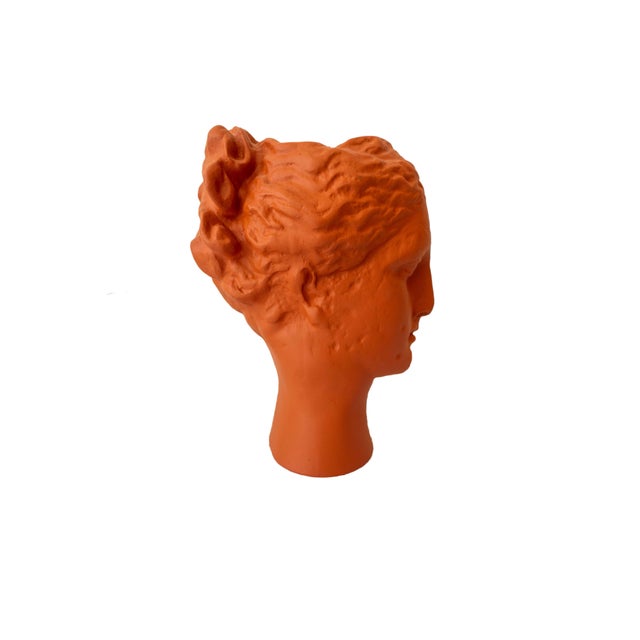 A reinterpretation of the classic bust, these vases are fun way to be classical and fresh. A classic Greek bust with a...