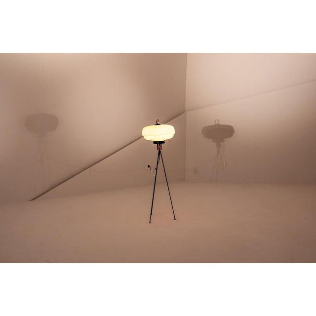 Italian Tripod Floor Lamp from Lumen, 1950 For Sale - Image 3 of 5