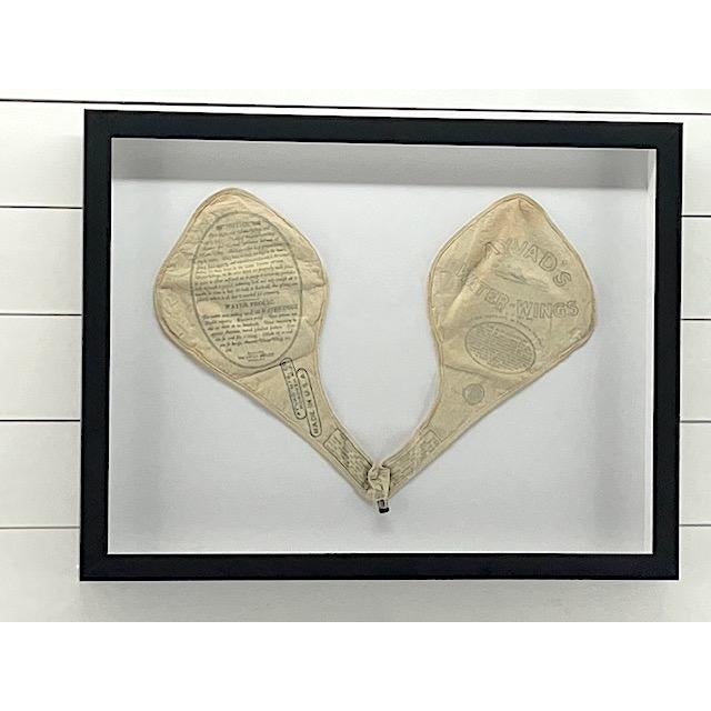 Framed Antique Water-Wings For Sale - Image 4 of 5