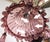 This monumental Mid-Century Murano chandelier is a dramatic masterclass in Venetian glassmaking, translating the romance...