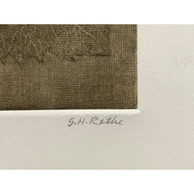 G H Rothe Grapes Art Hand Signed Limited Edition 1983 on Paper Fruits Original For Sale - Image 4 of 8