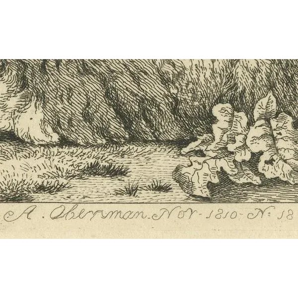 Anthony Oberman, Serene Pastoral Scene with Two Resting Sheep, 1810, Etching on Paper For Sale - Image 3 of 8