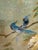 Asian Style Artwork Bird on Flower Composition, Signed For Sale - Image 10 of 12