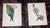 Realism Authentic Antique 19th Century Anne Pratt Botanical Chromolithographs - Set of 12 For Sale - Image 3 of 10