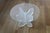 1980s Lion in Frost Style Lucite Butterfly Wing Shape Mid-Century Coffee Table Base For Sale - Image 16 of 16