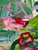 Abstract “Day Lily” Original Painting by Hayley Morée For Sale - Image 3 of 4