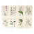 Set of 8 Antique Botanical Prints | Pink & Green Wildflower Studies For Sale