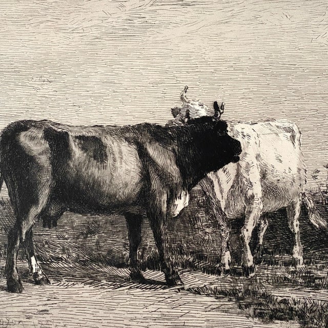 William Merritt Chase - (after) Constantine Troyon's "Cattle" Etching, Signed (1887). From the A.T. Stewart Collection....