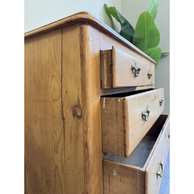 Wood Antique Pine Dovetail Chest of Drawers, 1890s For Sale - Image 7 of 13