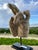Contemporary Carved Hand Sculpture, Peace - Bliss Studio For Sale - Image 3 of 7