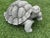Vintage cast concrete turtle sculpture with wonderful texture and natural weathering. Its realistic form and solid...