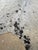 Brazilian Speckled Tricolor Cowhide Rug 69" X 90" For Sale - Image 4 of 5