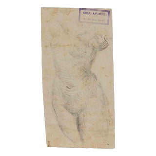 Luigi Galli, Anatomical Studies, 19th Century, Pencil on Paper For Sale