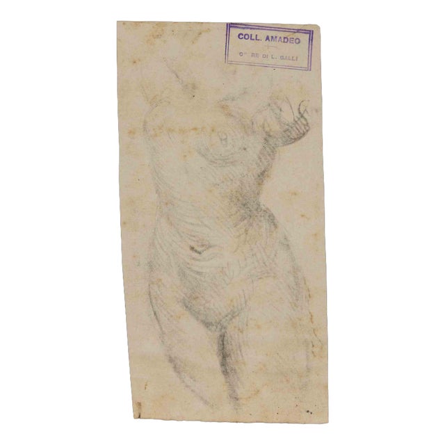 Luigi Galli, Anatomical Studies, 19th Century, Pencil on Paper For Sale