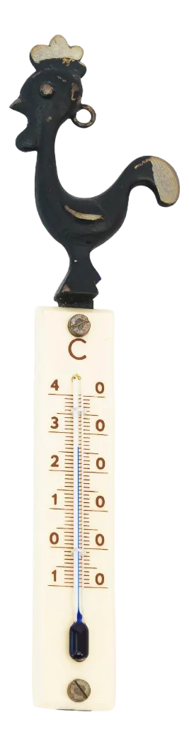Vintage Wall Thermometer by Walter Bosse for Herta Baller, 1950s