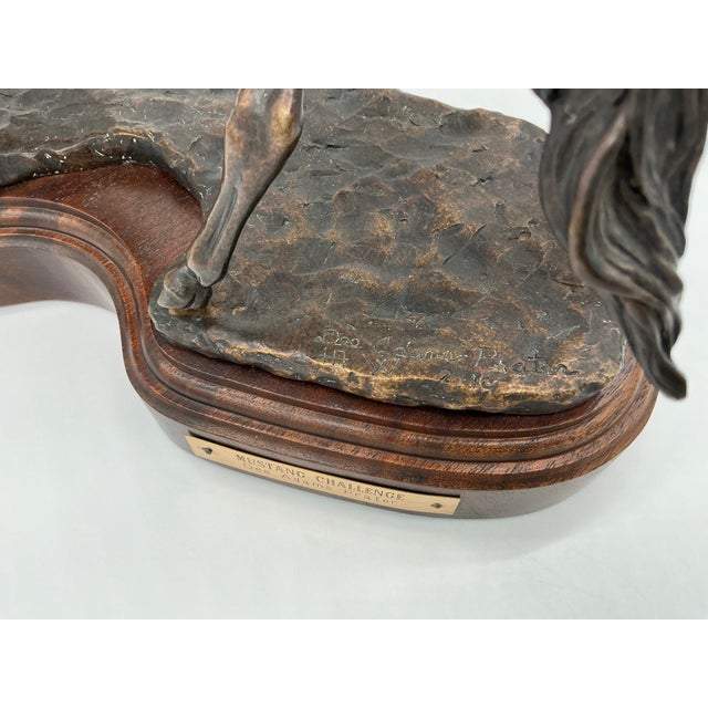 Figurative Bronze Sculpture “Mustang Challenge” Dee Adams Prater 2/10 Signed For Sale - Image 3 of 12