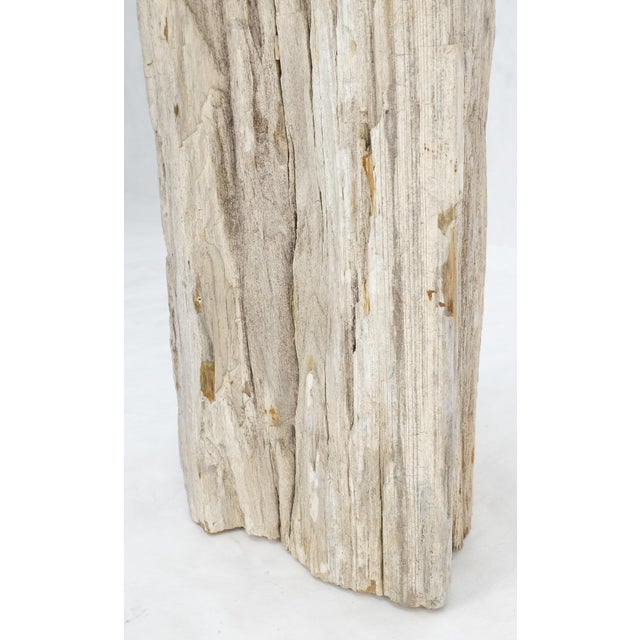 Large Beige Petrified Wood Organic Stomp Shape Stand End Side Table Pedestal For Sale - Image 6 of 10