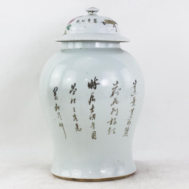 Antique Chinese Famille Rose Porcelain Ginger Jar With Lotus Pond and Water Lily Motif For Sale - Image 4 of 17