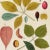 Contemporary Contemporary Reproduction of Vintage Botanical Leaves (2) Art Print, Framed For Sale - Image 3 of 5