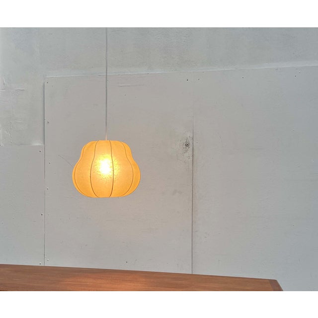 Mid-Century Modern Cocoon Pendant Lamp by Friedel Wauer for Goldkant Leuchten, 1960s For Sale - Image 9 of 18