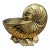 1980s Solid Brass Nautilus Shell For Sale