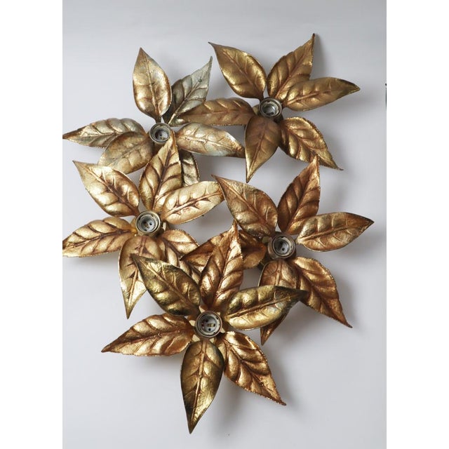 Golden Flowers Wall Lamp by Willy Daro from Massive, 1970s For Sale - Image 6 of 17