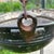 Coffee Antique Handmade Silver on Copper Handing Cauldron/Pot on Rusted Iron Chain For Sale - Image 8 of 12
