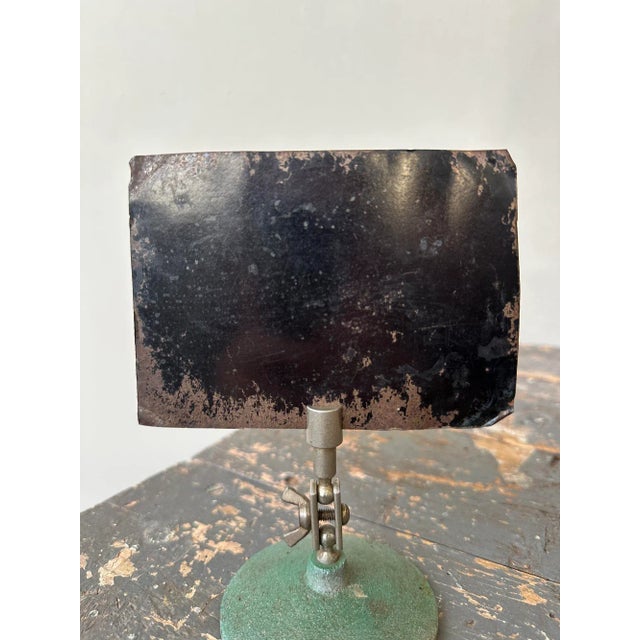 Antique Tintype Group Portrait at "Sunny Side Cottage," Circa Late 19th Century For Sale - Image 10 of 10