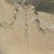 Metal Antique French Champagne Bucket in Nickel Silver, 1890s For Sale - Image 7 of 17