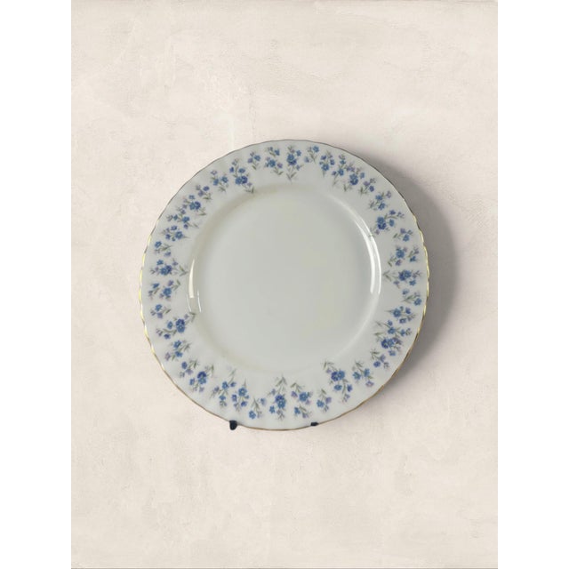 English Vintage English Royal Albert 'Memory Lane' 8 Inch Plates, Set of Two For Sale - Image 3 of 6