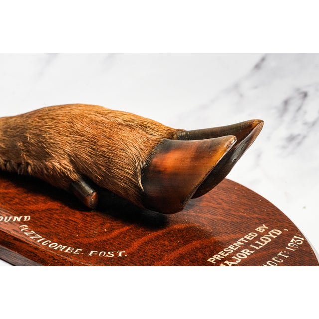 Nice Deer Hoof Wood Shield Mounted Antique English Taxidermy Hunting Trophy For Sale - Image 9 of 14