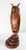 We are selling this great sculptural wooden Owl figure decoy. This figure is carved from wood with glass eyes and leather...