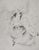 Mily possoz (1888-1968) family with a cat original etching signed in pencil numbered out of 60 copies (photo of the number...