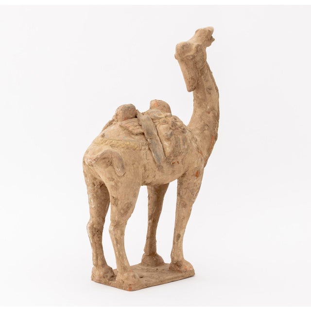 Chinese Tang Style Standing Camel Pottery Sculpture For Sale - Image 10 of 11