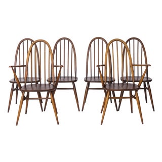 Windsor Dining Chairs by Lucian Ercolani for Ercol, 1960s, Set of 6 For Sale