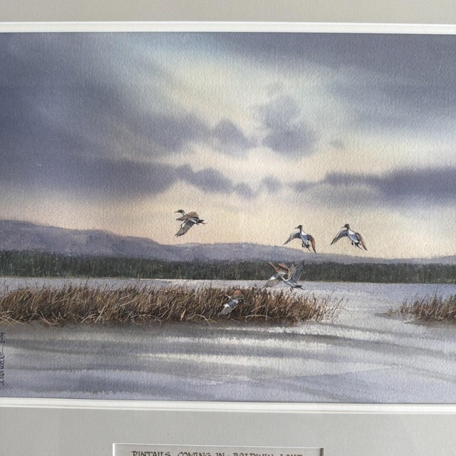 Paint Original 1994 Signed Louis Weber Watercolor Pintails Ducks Baldwin Lake CA For Sale - Image 7 of 10