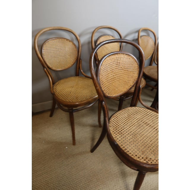 Chairs and Armchairs by Michael Thonet for Thonet, 1890s, Set of 11 For Sale - Image 3 of 10